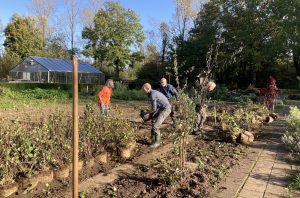 Lees meer over het artikel Samen een groener Lingewaard