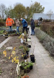 Lees meer over het artikel Bomenhub nog tweemaal open