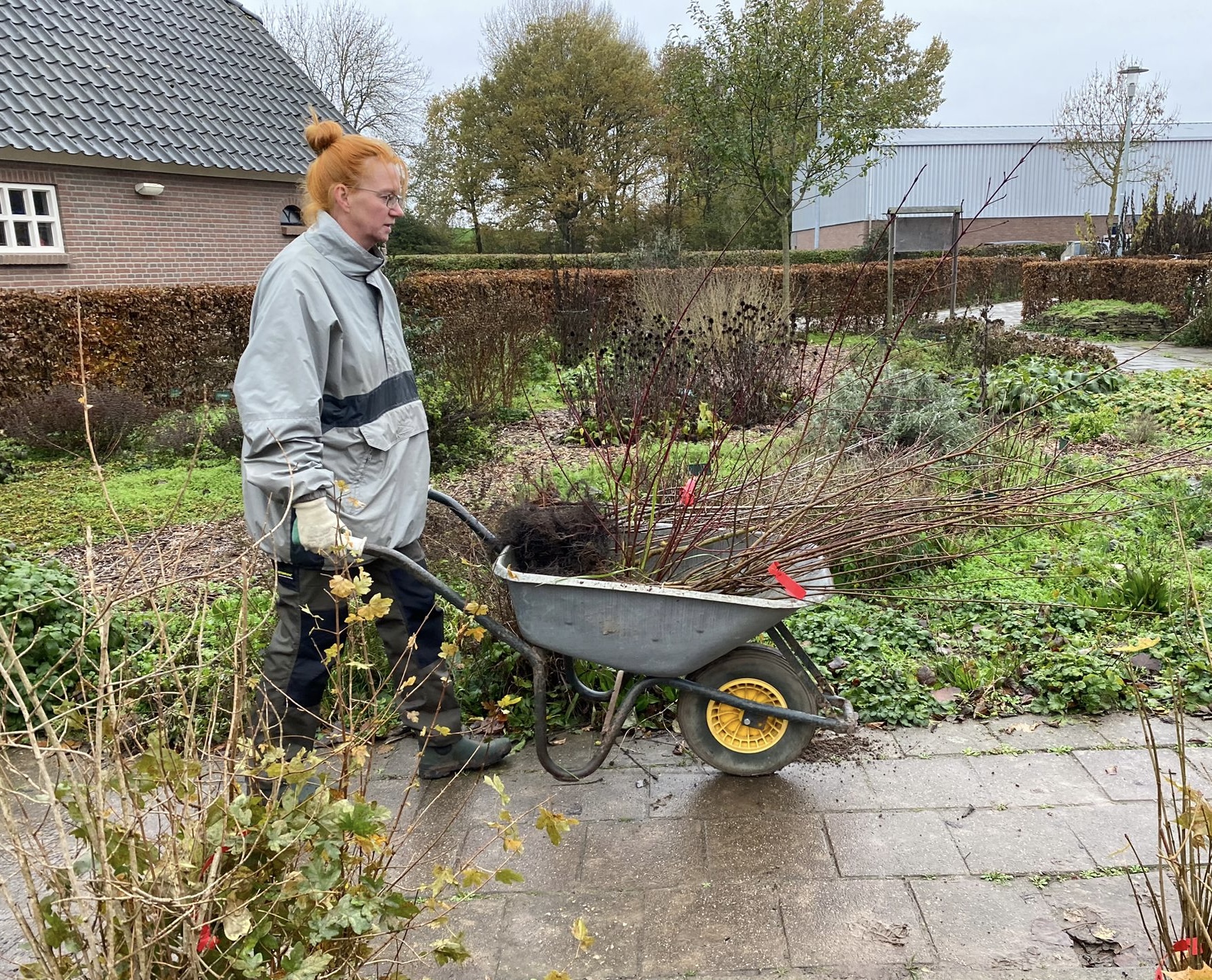 Lees meer over het artikel Bomen voor burgers Lingewaard