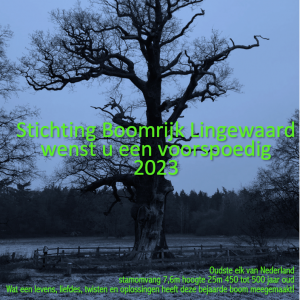 Lees meer over het artikel Nieuwjaarswens 2023