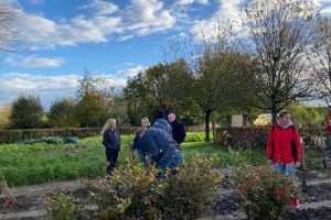 Lees meer over het artikel Veel belangstelling voor bomenhub tijdens eerste breng-en-haal-dag