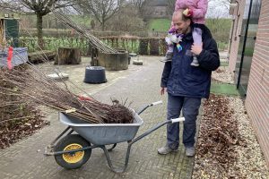Lees meer over het artikel Bomenhub De Veldschuur