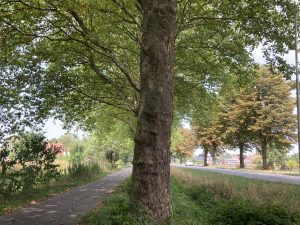 Lees meer over het artikel Aanbevelingen voor verkiezingsprogramma’s 2026