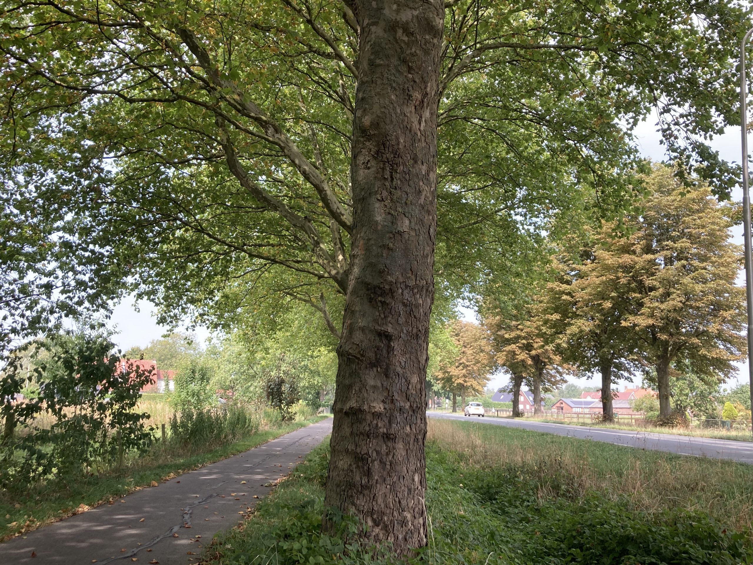 Lees meer over het artikel Aanbevelingen voor verkiezingsprogramma’s 2026