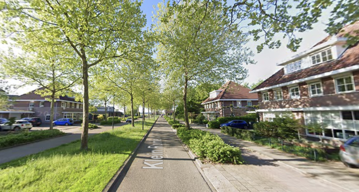 Lees meer over het artikel Kapvergunning bomen Klein Rome ingetrokken