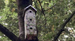 Lees meer over het artikel <strong>Bomenhub wordt booming</strong>