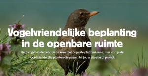 Lees meer over het artikel Trek vogels naar jouw tuin met struiken en bomen uit de bomenhub