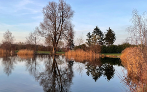 Lees meer over het artikel Presentatie Jaarverslag en Jaarrekening 2025