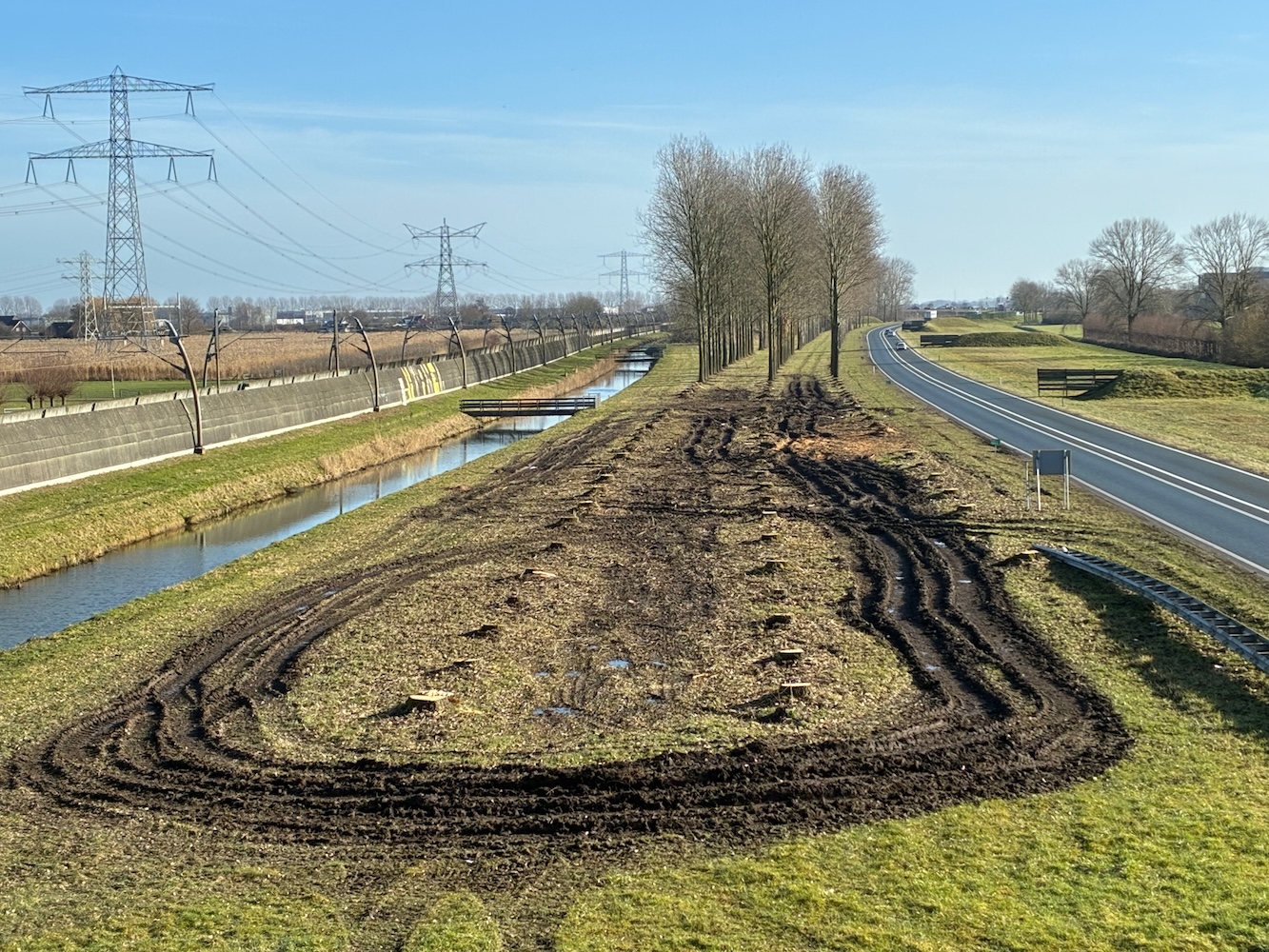 Lees meer over het artikel Roeken en bomenkap voor ViA15