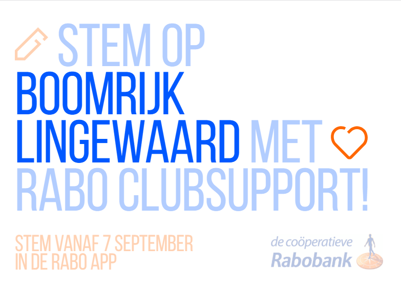Lees meer over het artikel Rabo ClubSupport voor Boomrijk Lingewaard